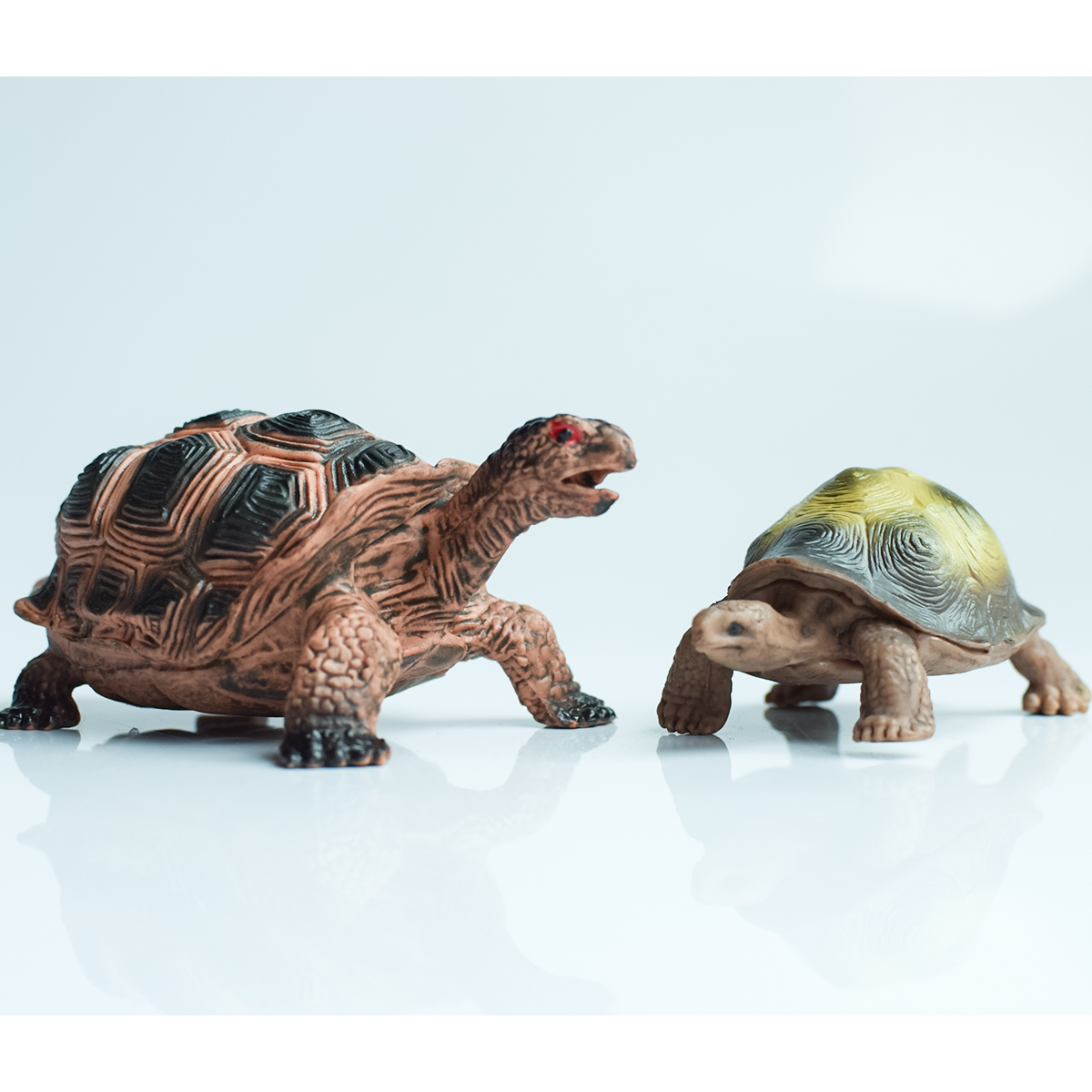 Painted Realistic Animal Turtl - огляд і ціна Desk Setup Plants