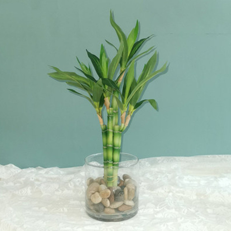 New 40cm rFtificial Lucky Bamb - огляд і ціна Desk Setup Plants
