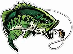 Perch Fishing Stickers Window  - огляд і ціна Desk Setup Ideas